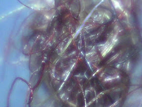 rug fiberball 60x.jpg