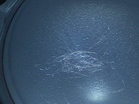 acrylic w sebum 10x.jpg