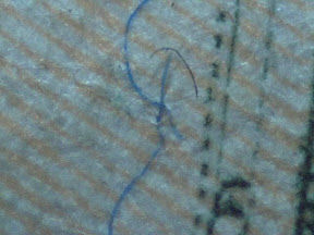 20 bucks rwb fibers 60x.jpg