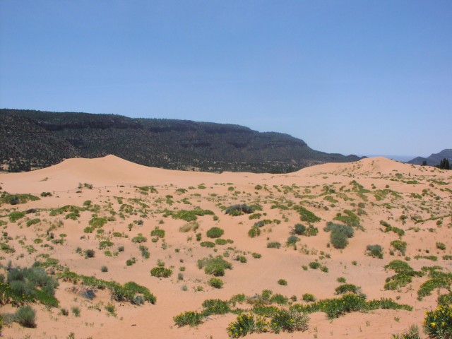 [P6180092.jpg]