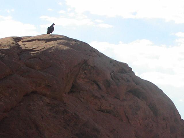 [P6220248.jpg]