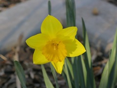 img_1863
