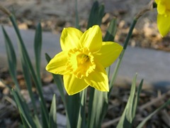 img_1864
