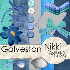 nm_Galvestonpreview