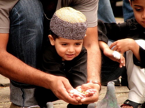 Digital Photography by Naroor Rathish