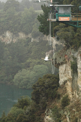 3. 2, 1, Bungy!