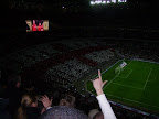 IMGP0896.JPG