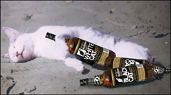 drunk-cat-whiskey-small