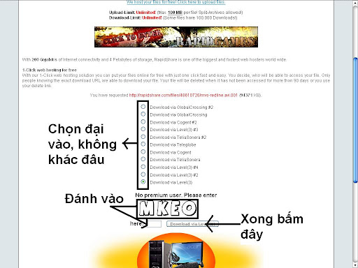 [Web] Cách Download ở Rapidshare & Megaupload Rapid3