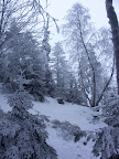 Bílo na Ostaši.