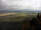 PICT0219.jpg