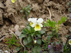 DSC04960.JPG