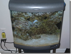 2007 Dec 28 002