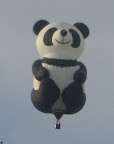 Panda Bear hot air ballon