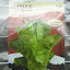 Romaine Lettuce 'Baby Romaine' Seeds