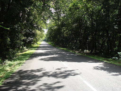 The road
