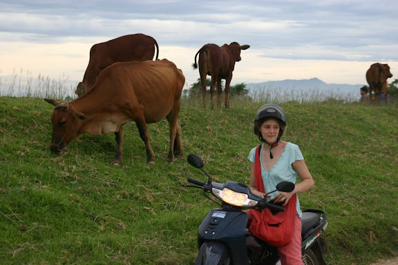 Mai chau