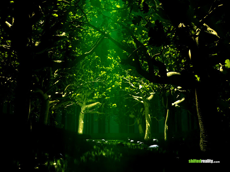 Beautiful wallpaper green forest.jpg WallpaperBeautiful - http://henku.info