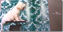 Image005