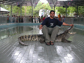 crocodile park pattaya thailand elephant