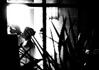 52920070.JPG