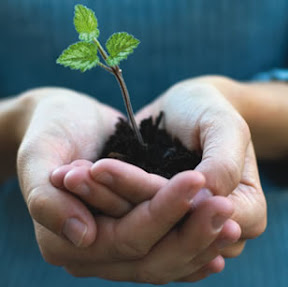Church Plant