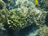PA120097.JPG