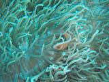 PA120105.JPG