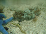 PA100035.JPG