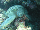 PA130022.JPG