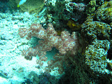 PA190132.JPG