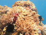 PA190134.JPG
