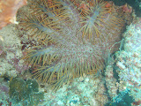 PA160353.JPG