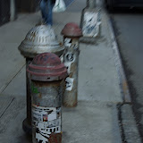 _DSC0042.NEF _DSC0042.NEF