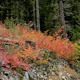 _DSC0002.JPG