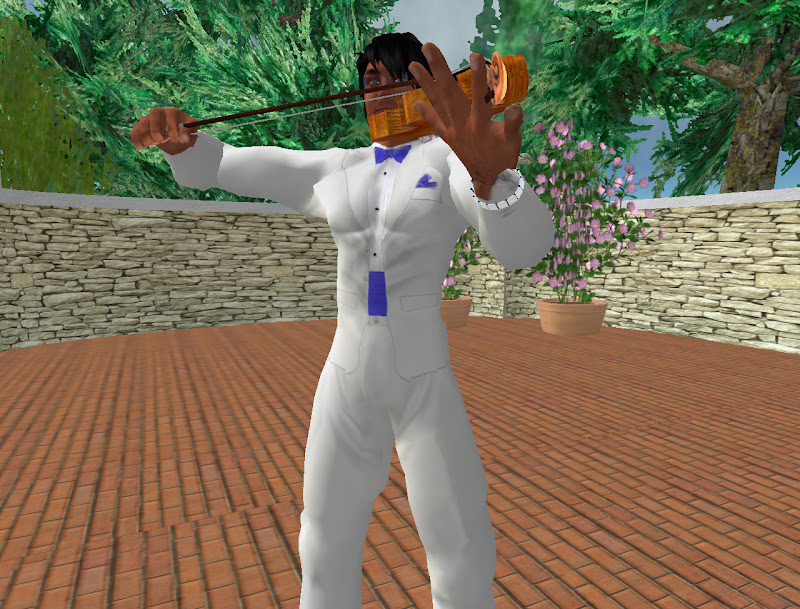 A violinist performs in Maemi Gardens