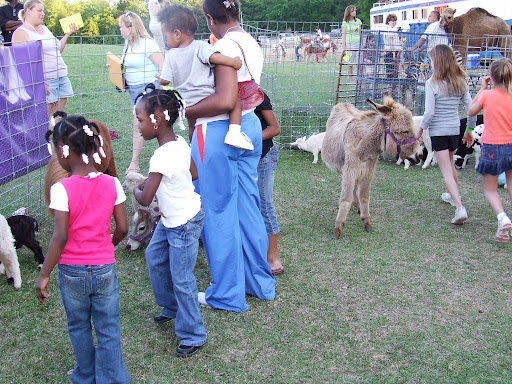 Petting Zoo