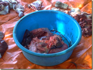 20122007045