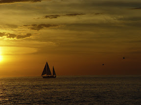 DSC01111.JPG