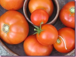 fall tomatoes 002
