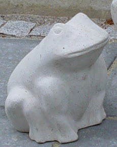 Skrubtudsen