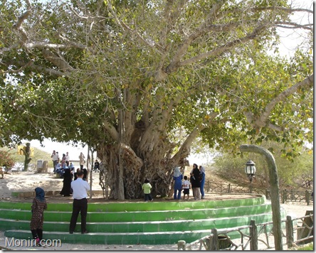 Kish_8612_055