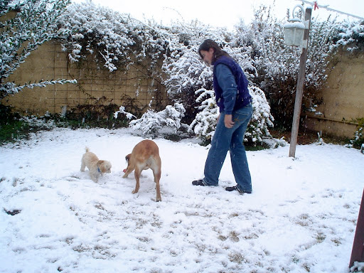 Sampacho bajo la nieve