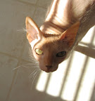 My Photo
