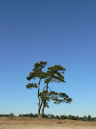 P1020750.JPG