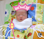 S5003295-2.JPG