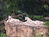 S5001008.JPG