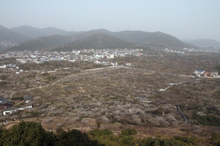 图