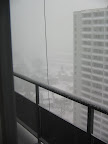 IMG 0329