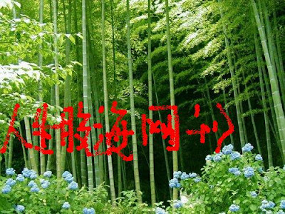 人生股海网刊